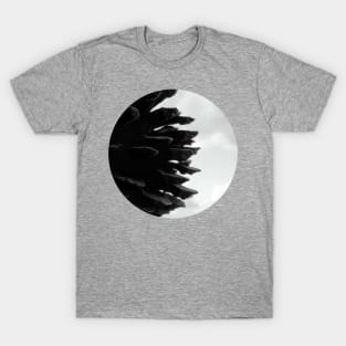 Pine Cones T-Shirt